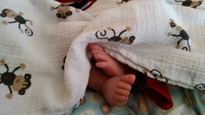My Little Guy's Monkey Feet